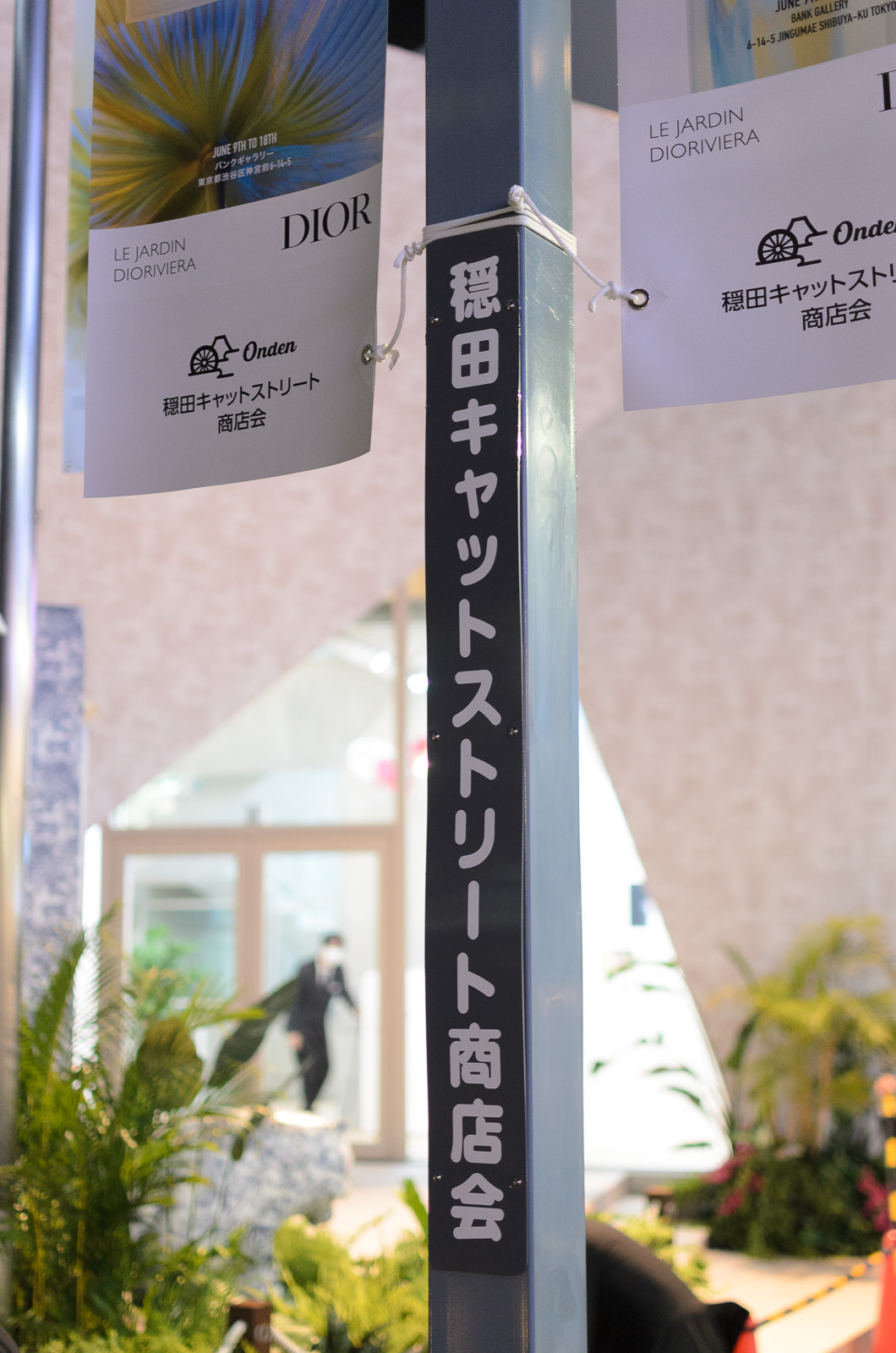 2023/6/10 原宿 橘あるひ 5