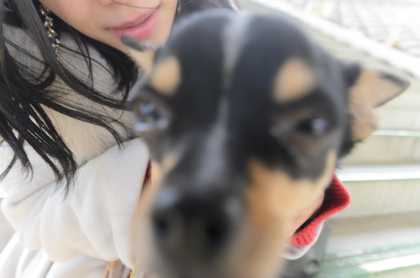 2024/12/22 橘綾乃 5